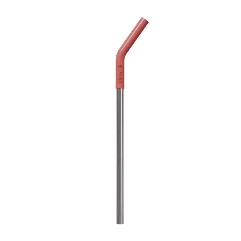 "CleanSip" 4Pk Antimicrobial Straws